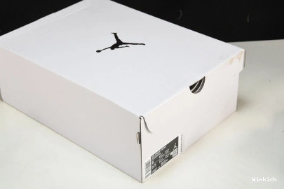 AIR JORDAN CT8527-118 “TEAM ORANGE” 4 0812